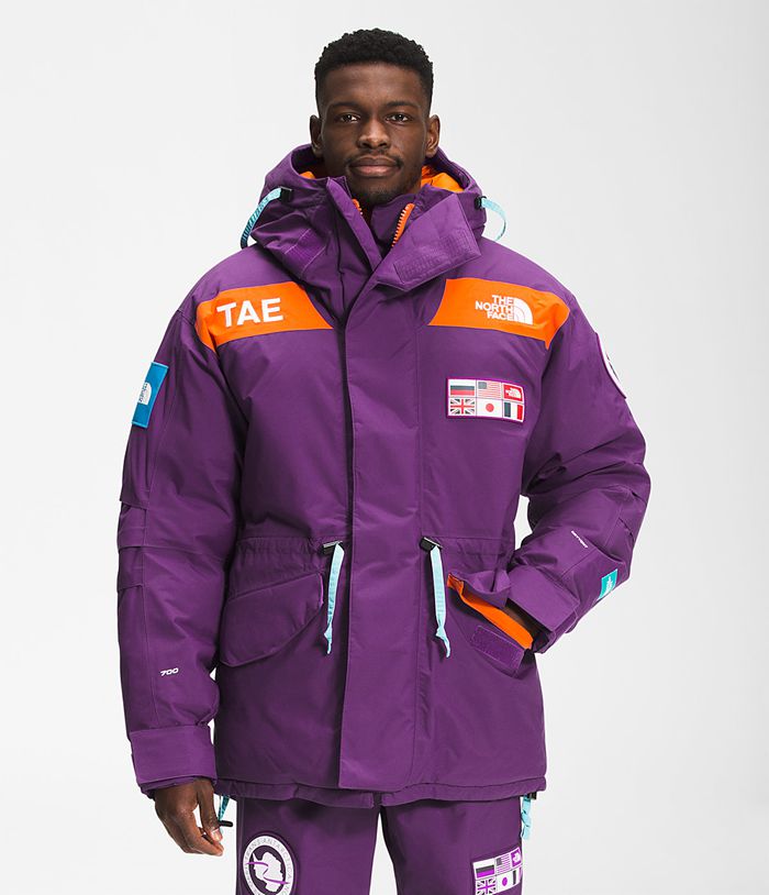 The North Face Trans-Antarctica Expedition Parka Mens Puffer